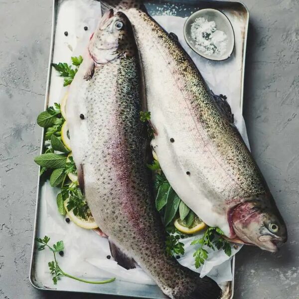 Himalayan Rainbow Trout - Whole, Cleaned