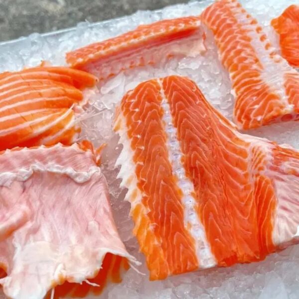 Raw Salmon Bones Stock Maker